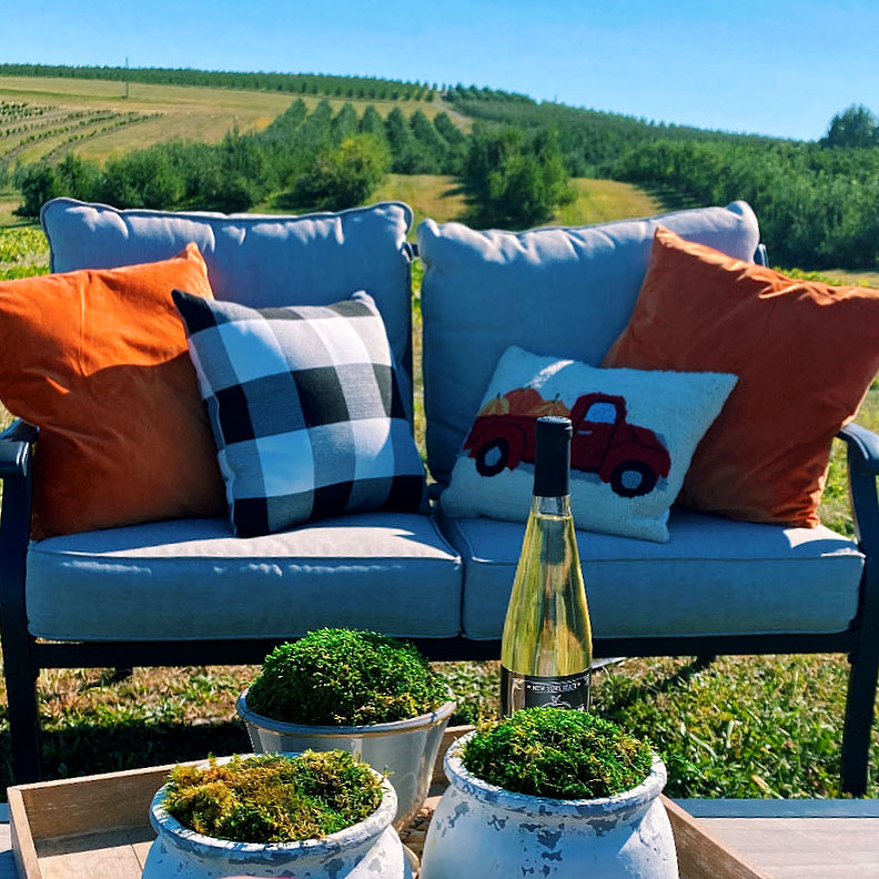 Comfy outdoor seating with mountains in the background
