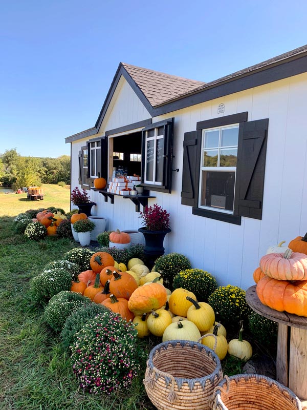 a white building with black shutters decorated with mini pumpkins