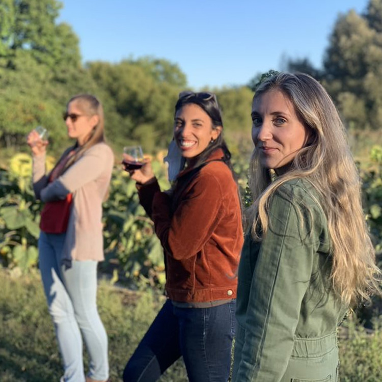 Three women sipping wine in a sunflower field