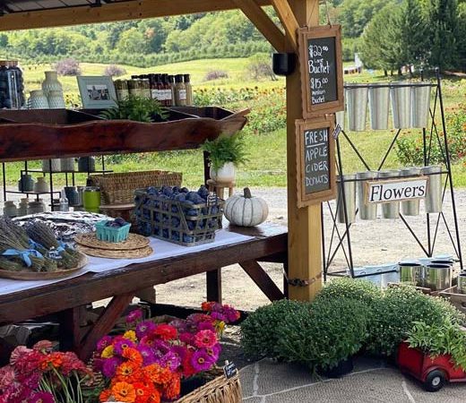 Farm Stand A pergola stocked with flowers, gifts and produce