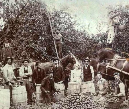OldTimeyFarmers Old Pictures of original farm workers