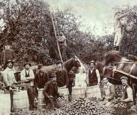 Old Pictures of original farm workers