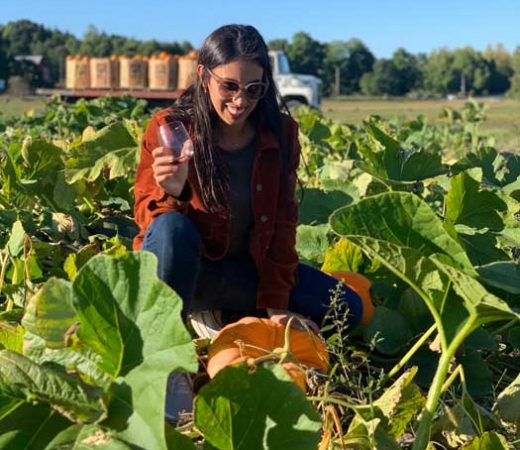 Pumpkin Picking