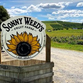 sonny weeds sign